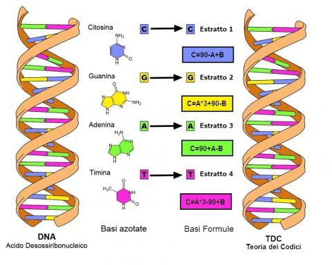DNA-TDC MAPPATURA